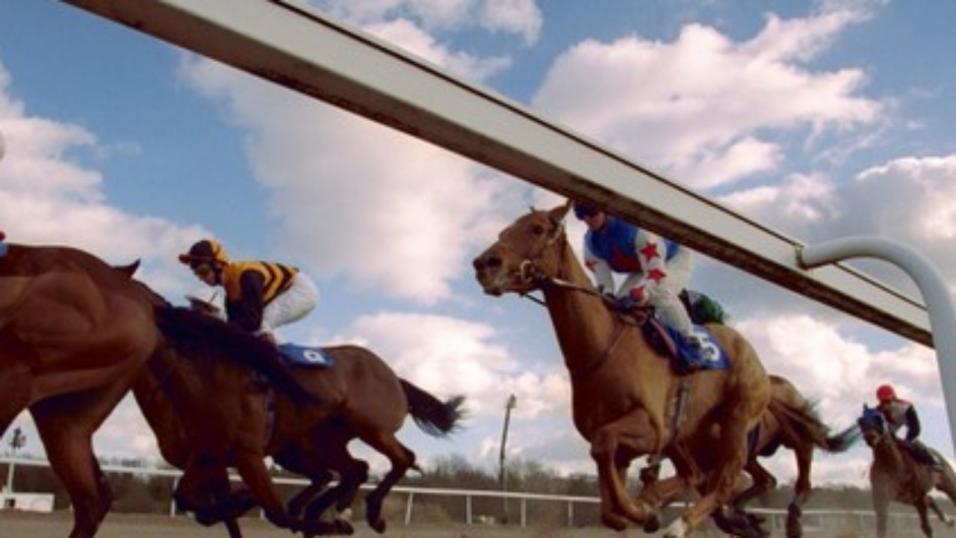 There is all-weather racing at Chelmsford on Tuesday